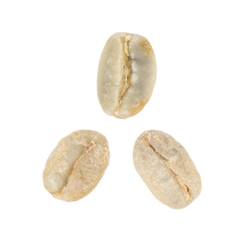 La Cinta | Washed Caturra from Colombia