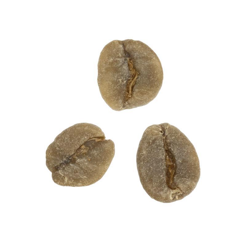 Alma Blend Program | Swiss Water® Process Decaf from Guatemala
