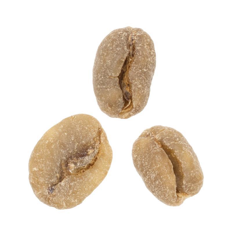 Guji Producers • Natural-Processed Swiss Water Decaf Heirloom