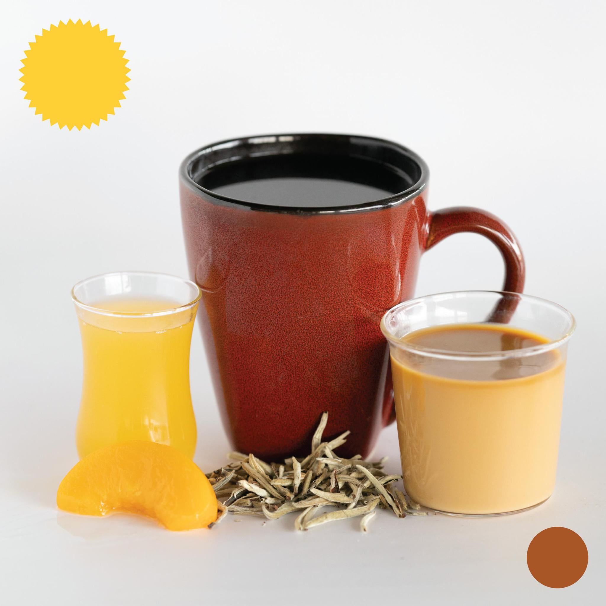 Delicate & Dynamic • Sampler 2 Pack