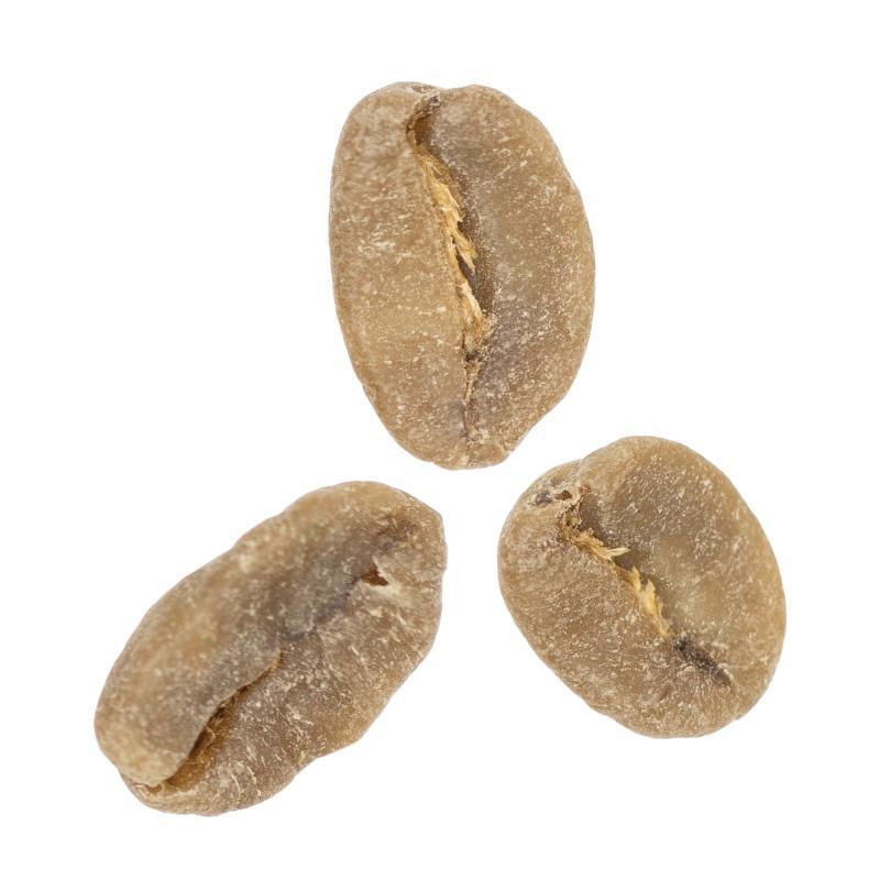 Chiapas Producers • Decaffeinated Caturra, Typica & other Washed Varieties