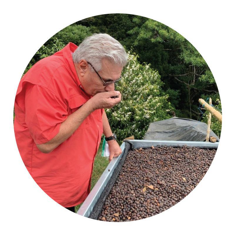 Eugene Altieri • Natural-Processed Catuai from Altieri Family Farms