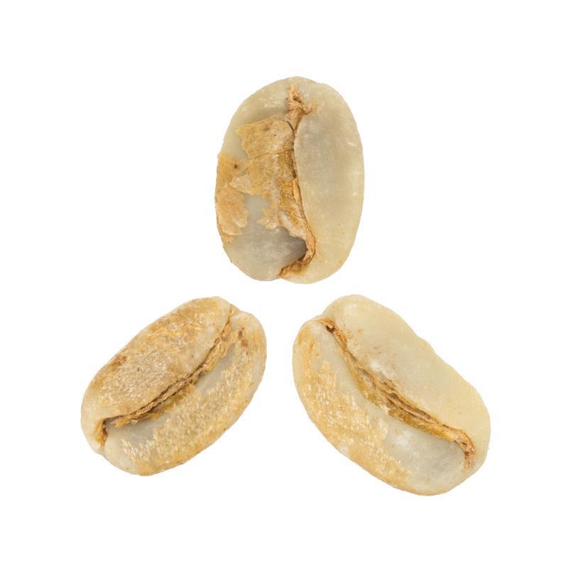 Natalia Lezama Ramirez • Anaerobic Natural-Processed Gesha from Finca Alto Gracia