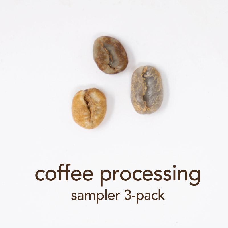 Coffee Processing • Sampler 3 Pack