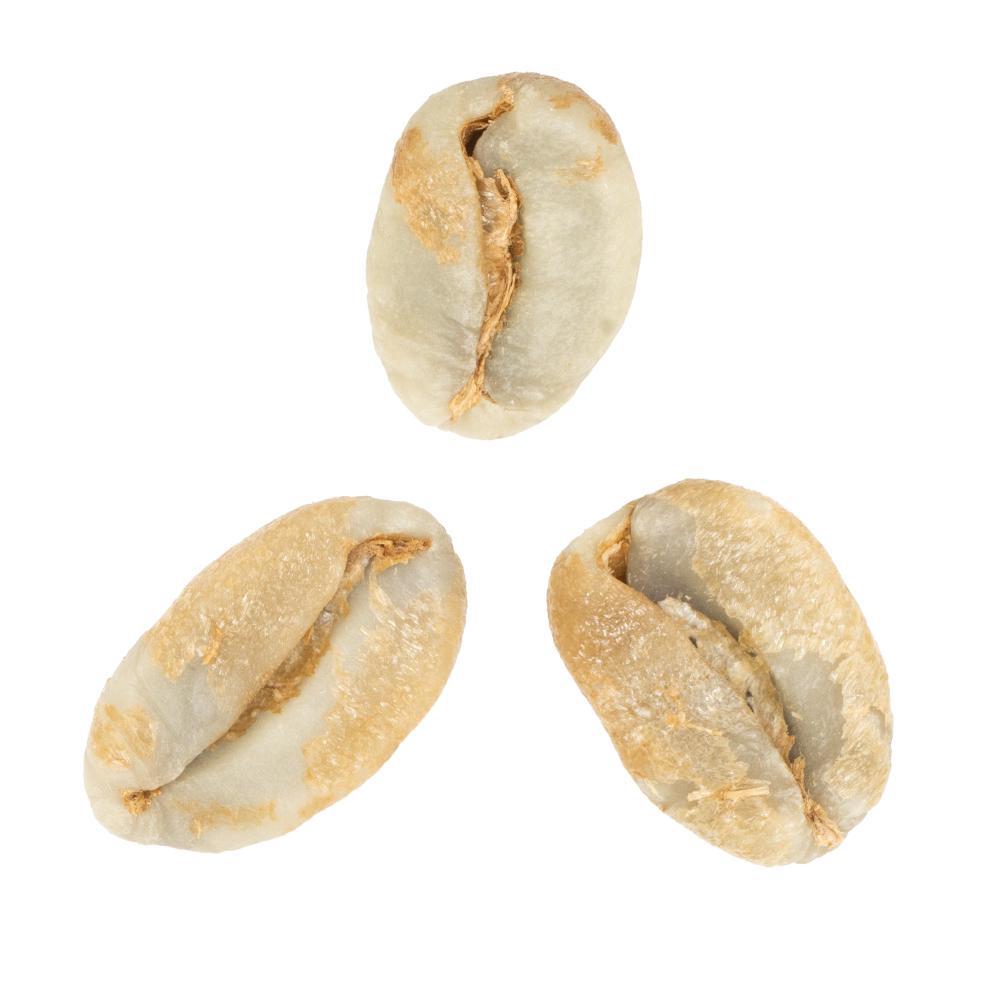 ZZSU-25 | Anny Ruth • Unicorn-Processed Bourbon from Loma La Gloria