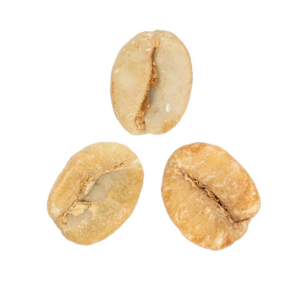 Ivan Solis • Candy-Natural-Processed Catuai from La Aurora