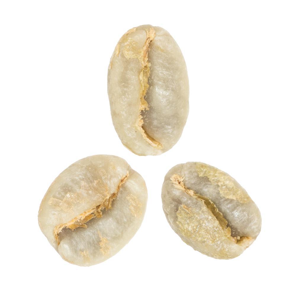 Carlos Castro • Washed-Processed Catuai from Rio Jorco