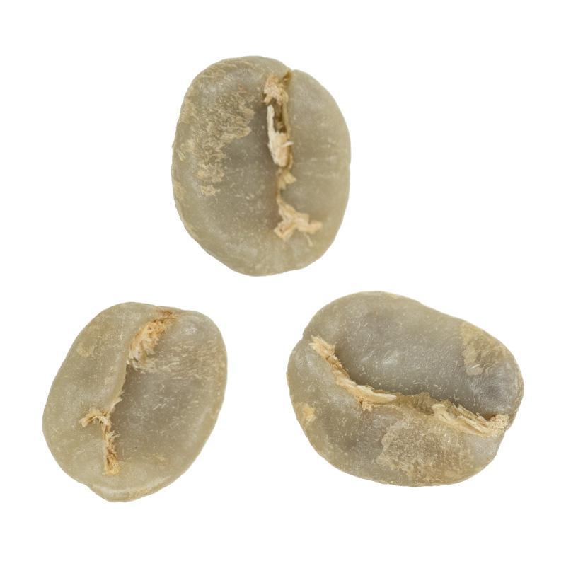 Callejón Seco | Altieri Specialty Coffee Natural Typica from Panama