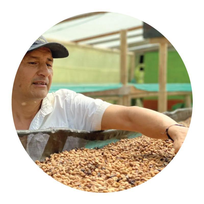 Finca Las Nubes | Sugarcane Decaf Caturra from Colombia