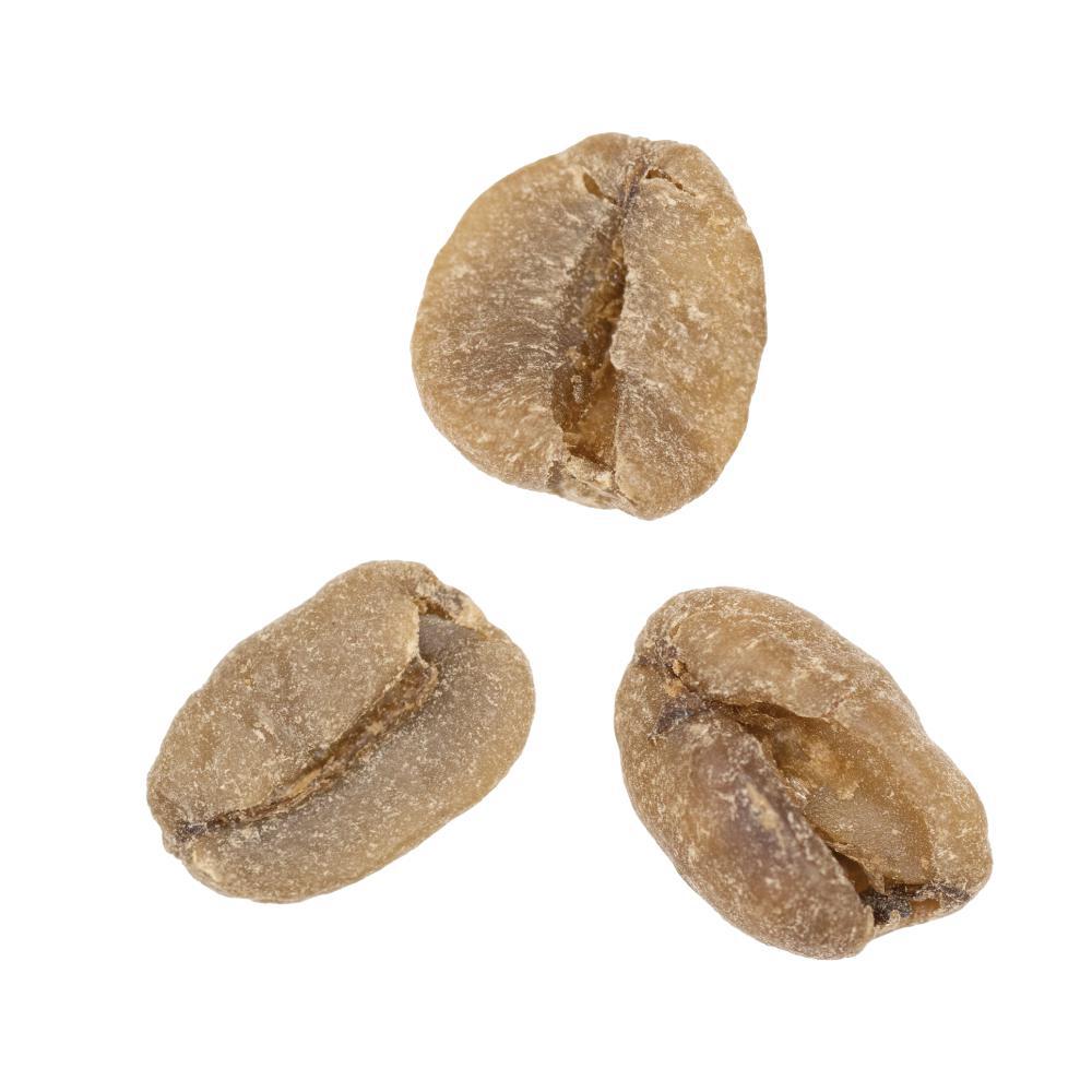 San Ignacio | Swiss Water® Process Decaf from Peru