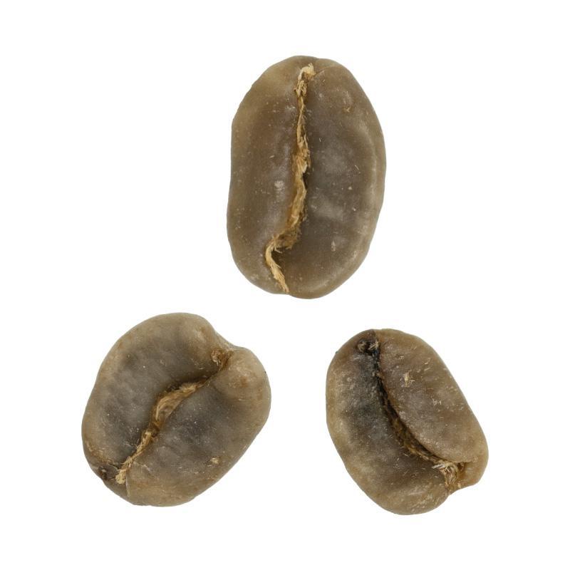 Chiapas Producers • Decaffeinated Caturra, Typica and other Washed Varieties | Green Coffee Beans