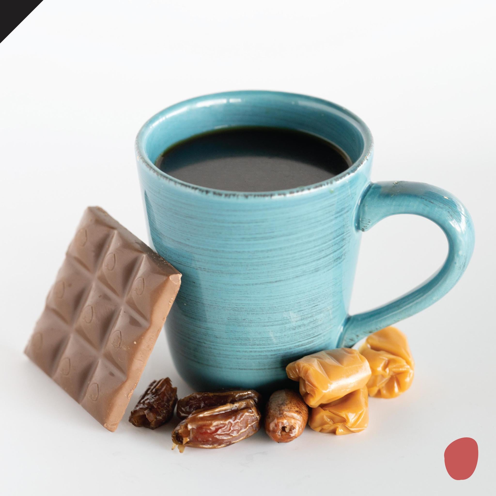 Coffee of the Year | Sampler 3 Pack