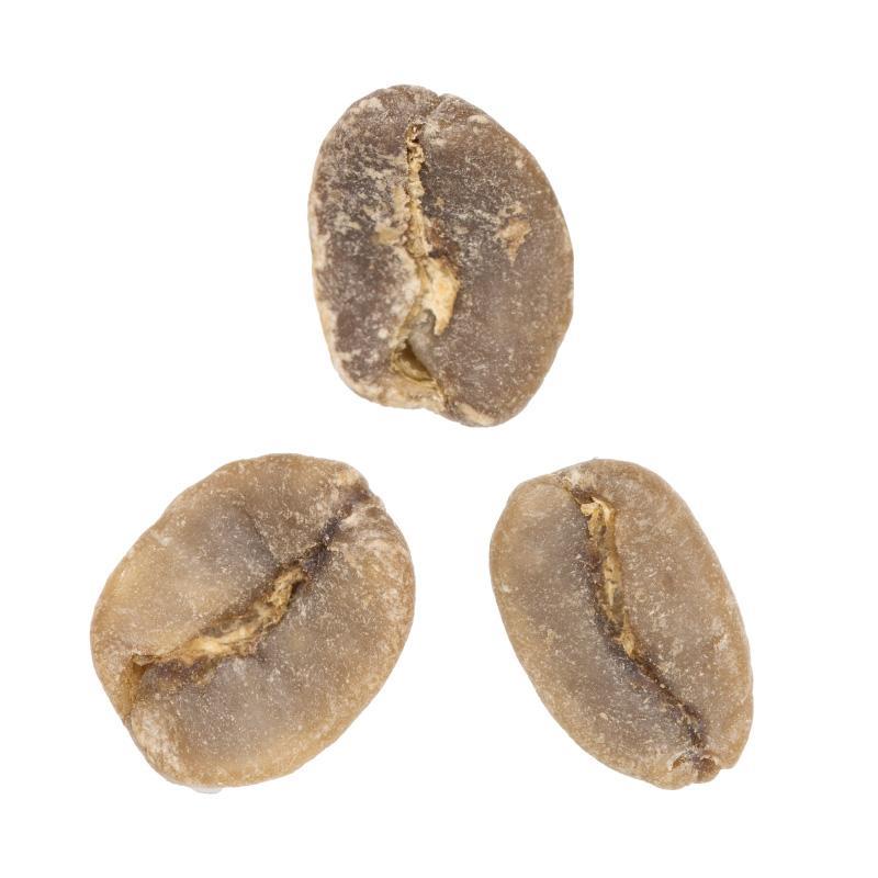 Marcala Producers • Washed-Processed Swiss Water Decaf