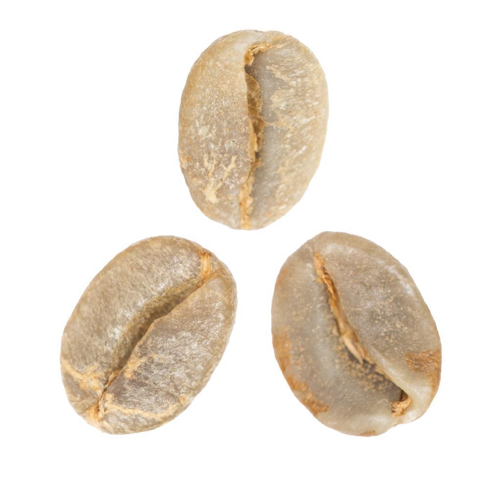 Alex Ureña • Red-Honey-Processed Ethiopian Heirloom