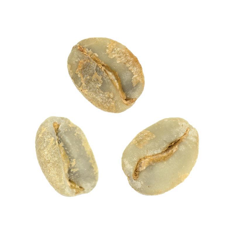 El Zapote Y Anexos | Natural Red Catuai One of a Kind Auction from Guatemala