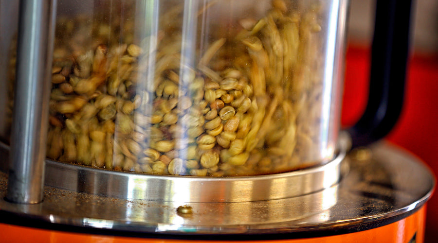 Suchini Family • Anaerobic-Natural-Processed Gesha from El Gigante Coffee Estate — photo published by Sagebrush Unroasted
