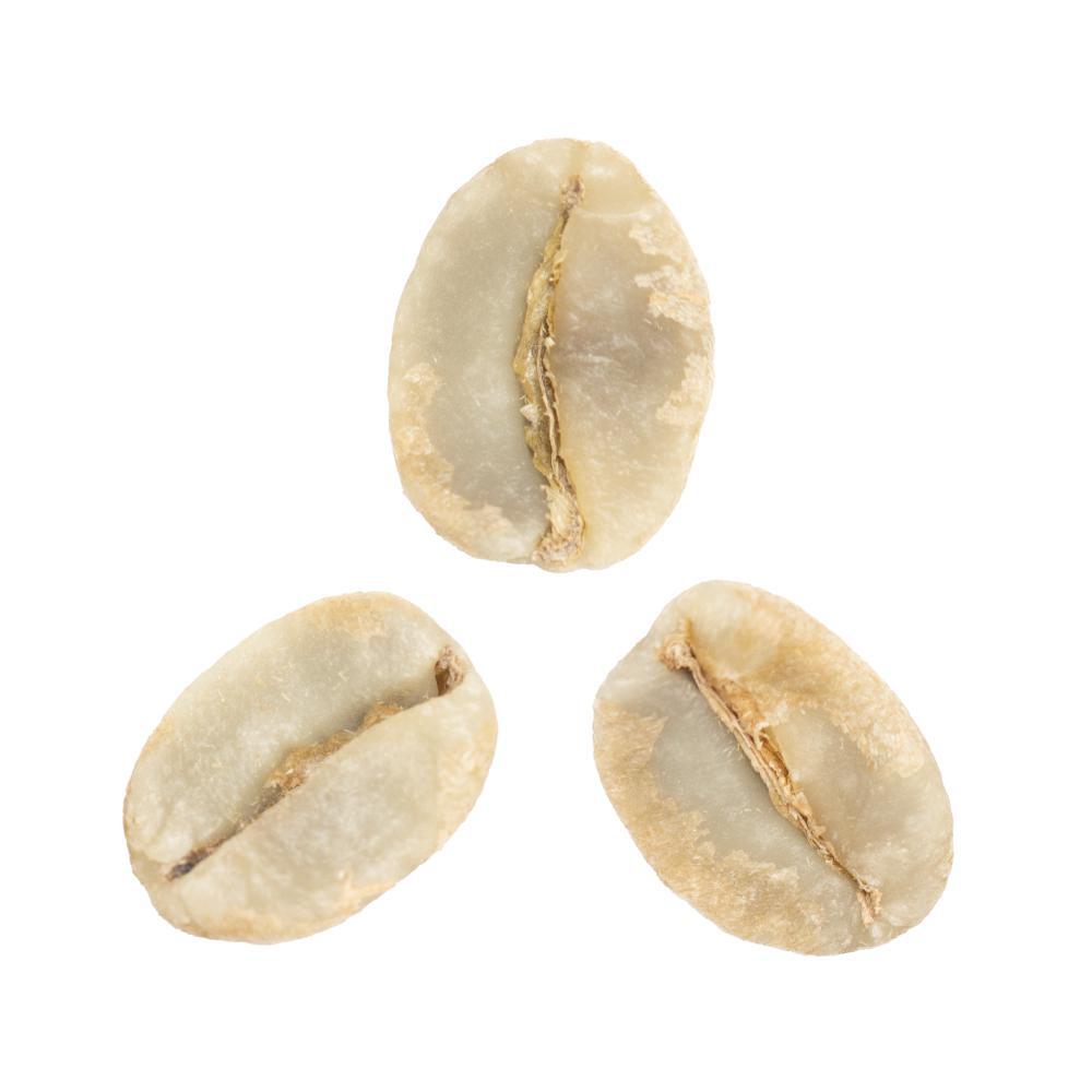 Anny Ruth • Black-Honey-Processed Red Bourbon