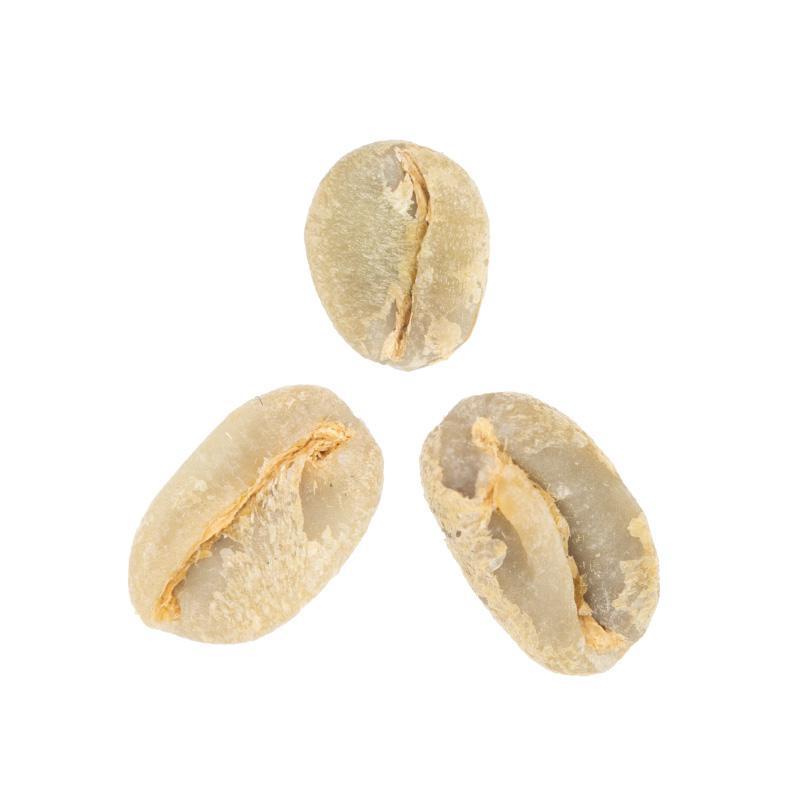 Morkata Gata • Natural-Processed Guji Heirloom from Mira Coffee
