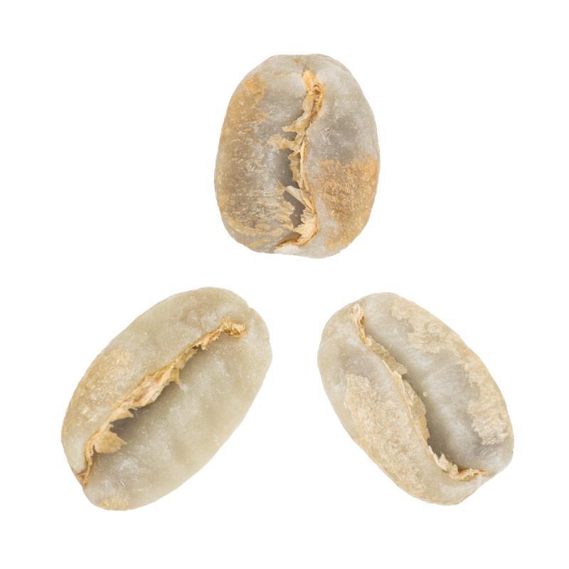 Eugene Altieri • Washed-Processed Gesha from Altieri Family Farms