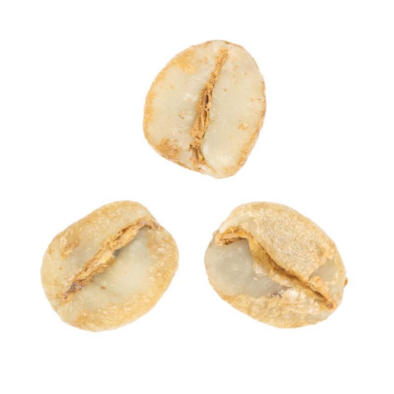 Florencio Villatoro • Washed-Processed Bourbon