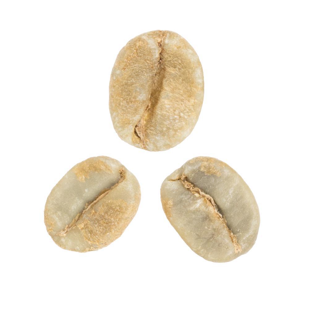 Minor Jimenez • Red-Honey-Processed Catuaí from La Cumbre