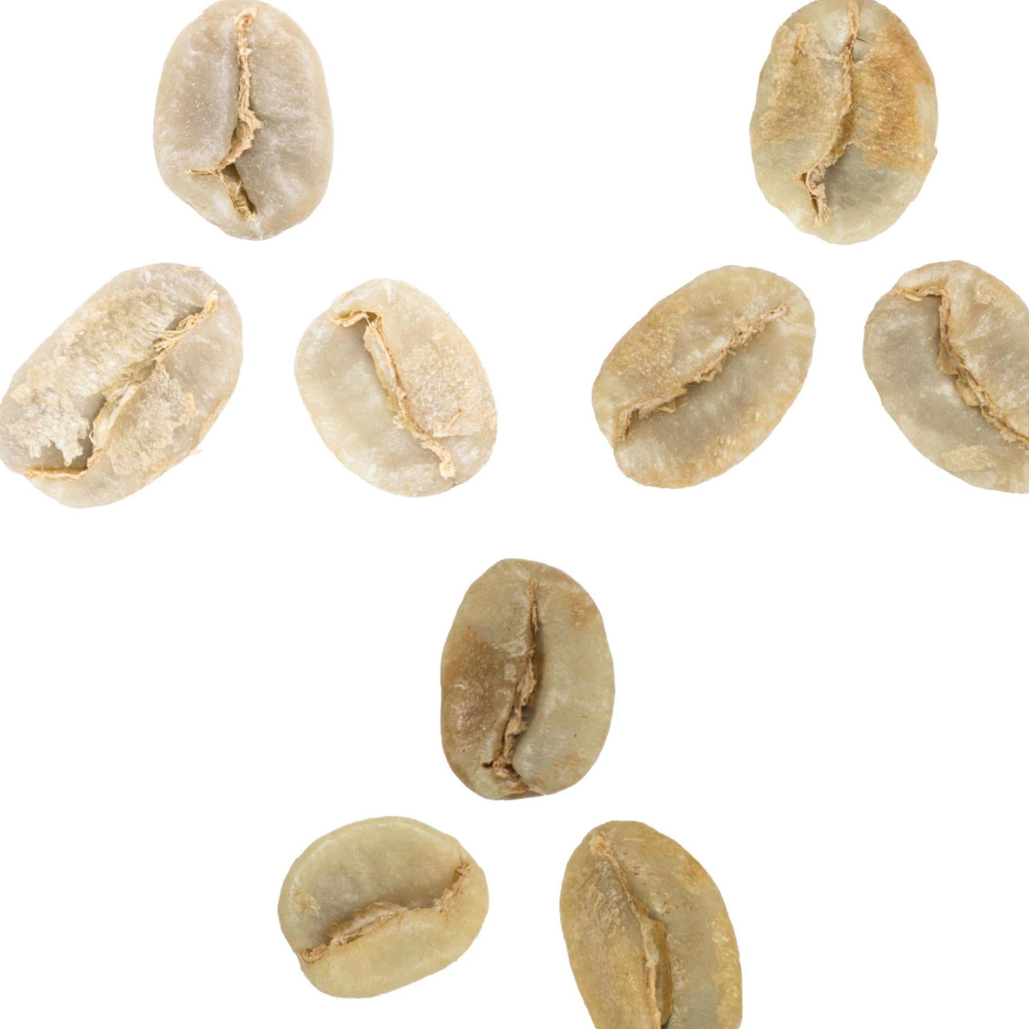 Central American Sampler • Sampler 3 Pack