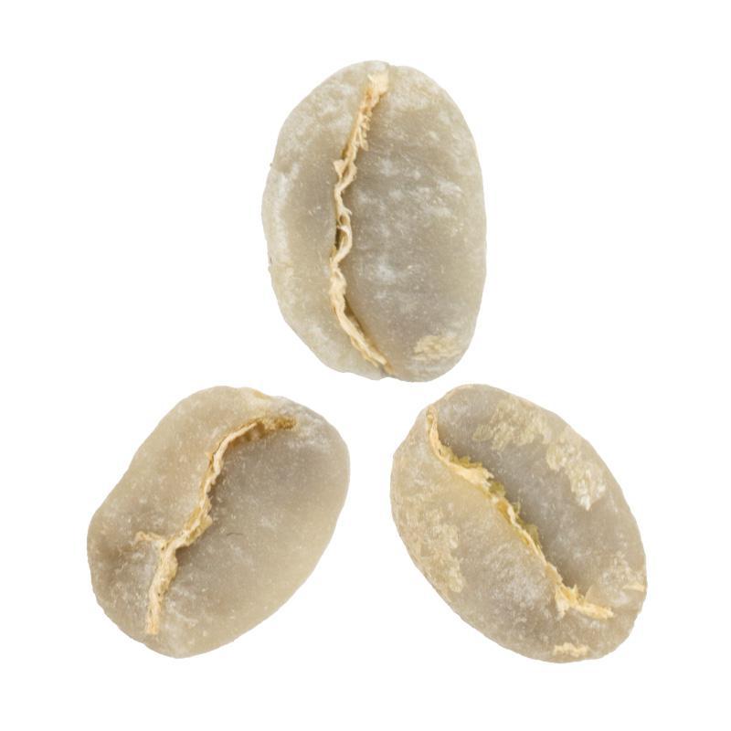 Morkata Gata • Washed-Processed Guji Heirloom from Mira Coffee