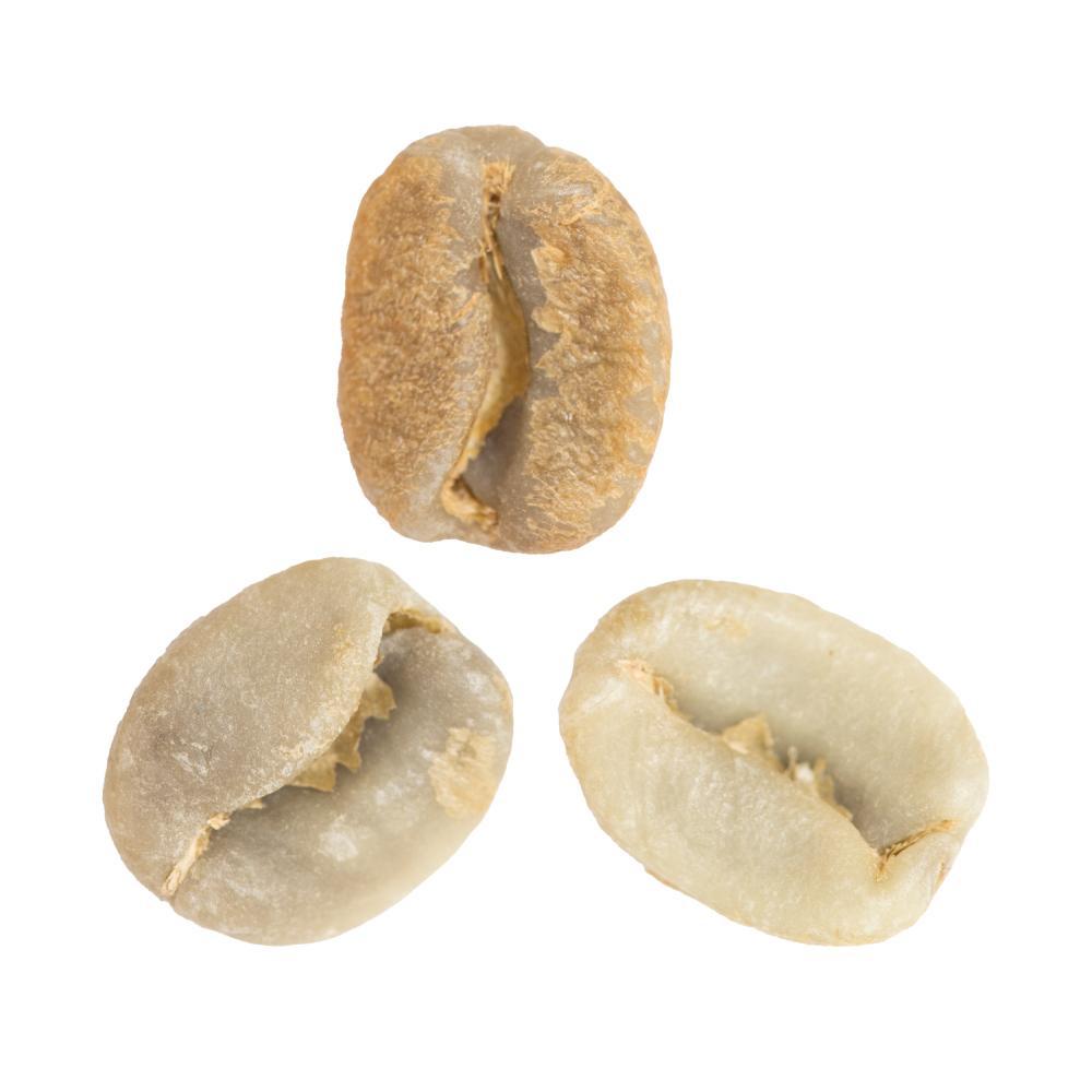 Minor Jimenez • Red-Honey-Processed Catuaí