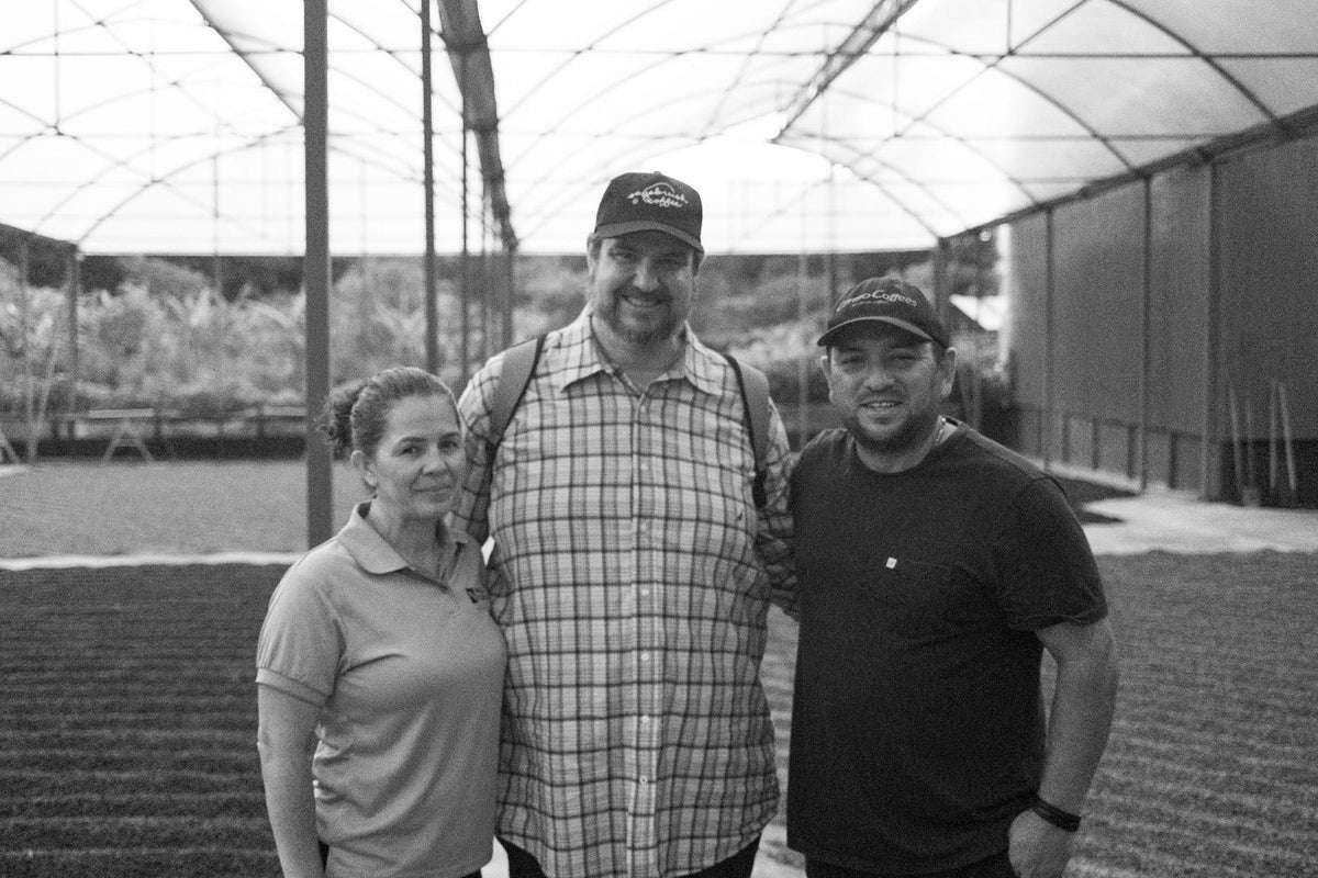 Ivan Solis • Mosto-Natural-Processed Typica